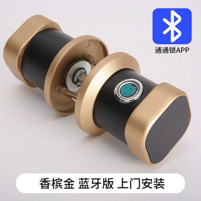 Indoor Fingerprint Lock Room Office Password Lock Wooden Door